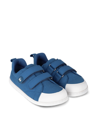 Canvi Plave (20-30)