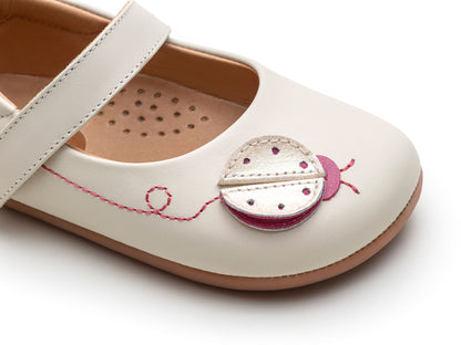 Ladybug Tapioca (20-25)