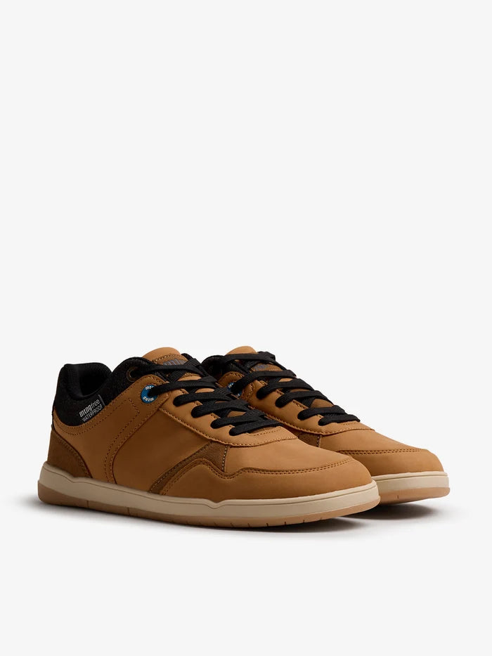 Free Miami Camel (41 do 46)