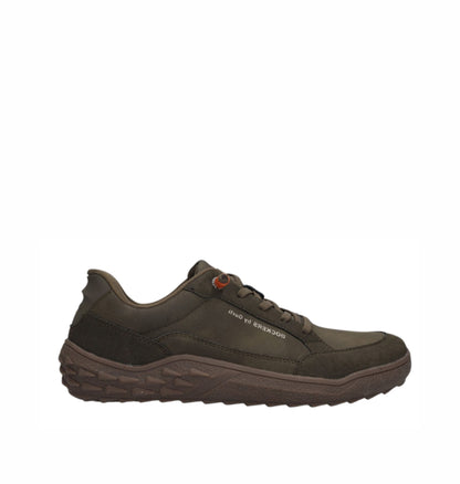 Oak Olive (41-47)