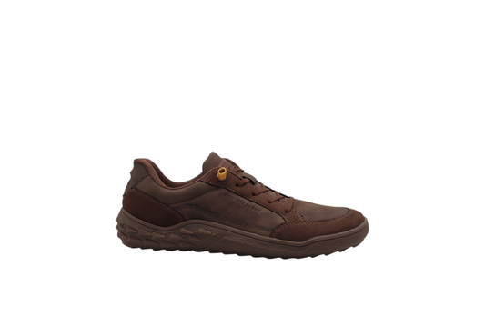 Oak Braon (41-47)