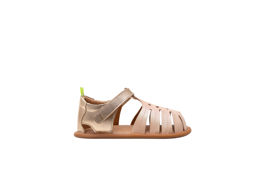 Tropically Candy (20-25)