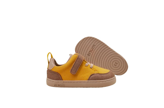 Lyon yellow & Brown (20-27)