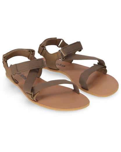 Flexi Maslinasta (42,43)