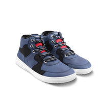 Lynx Plave