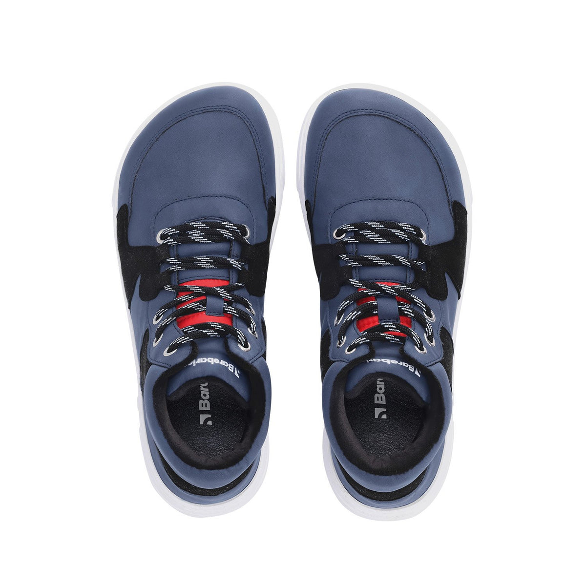 Lynx Plave