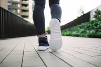 Lynx Plave