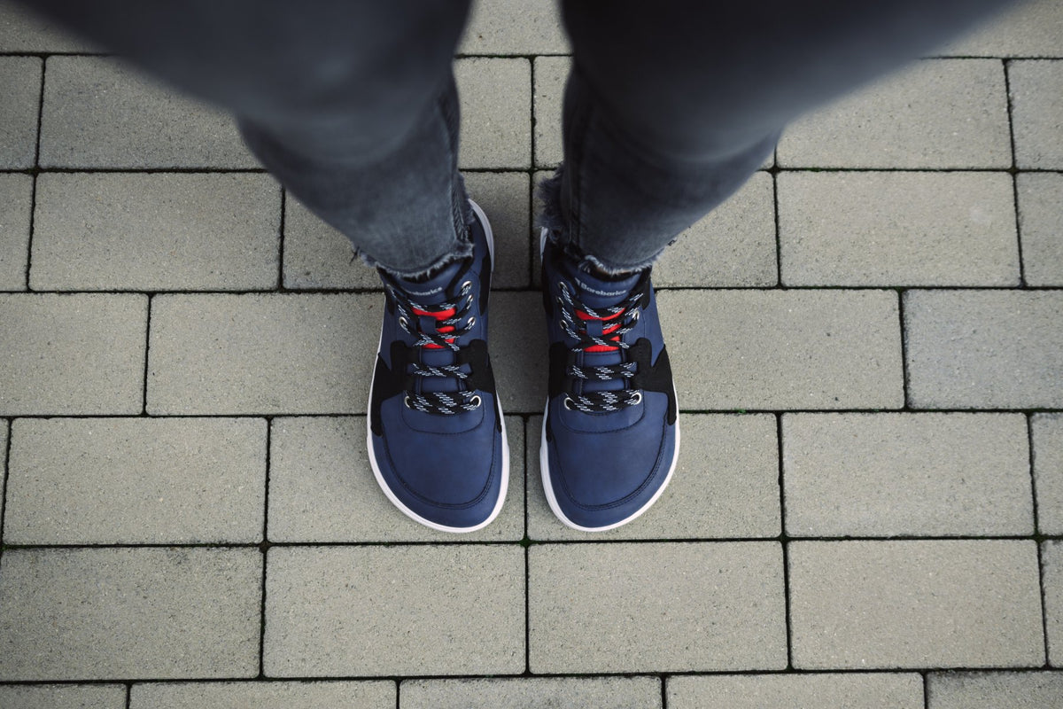 Lynx Plave