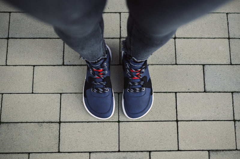 Lynx Plave