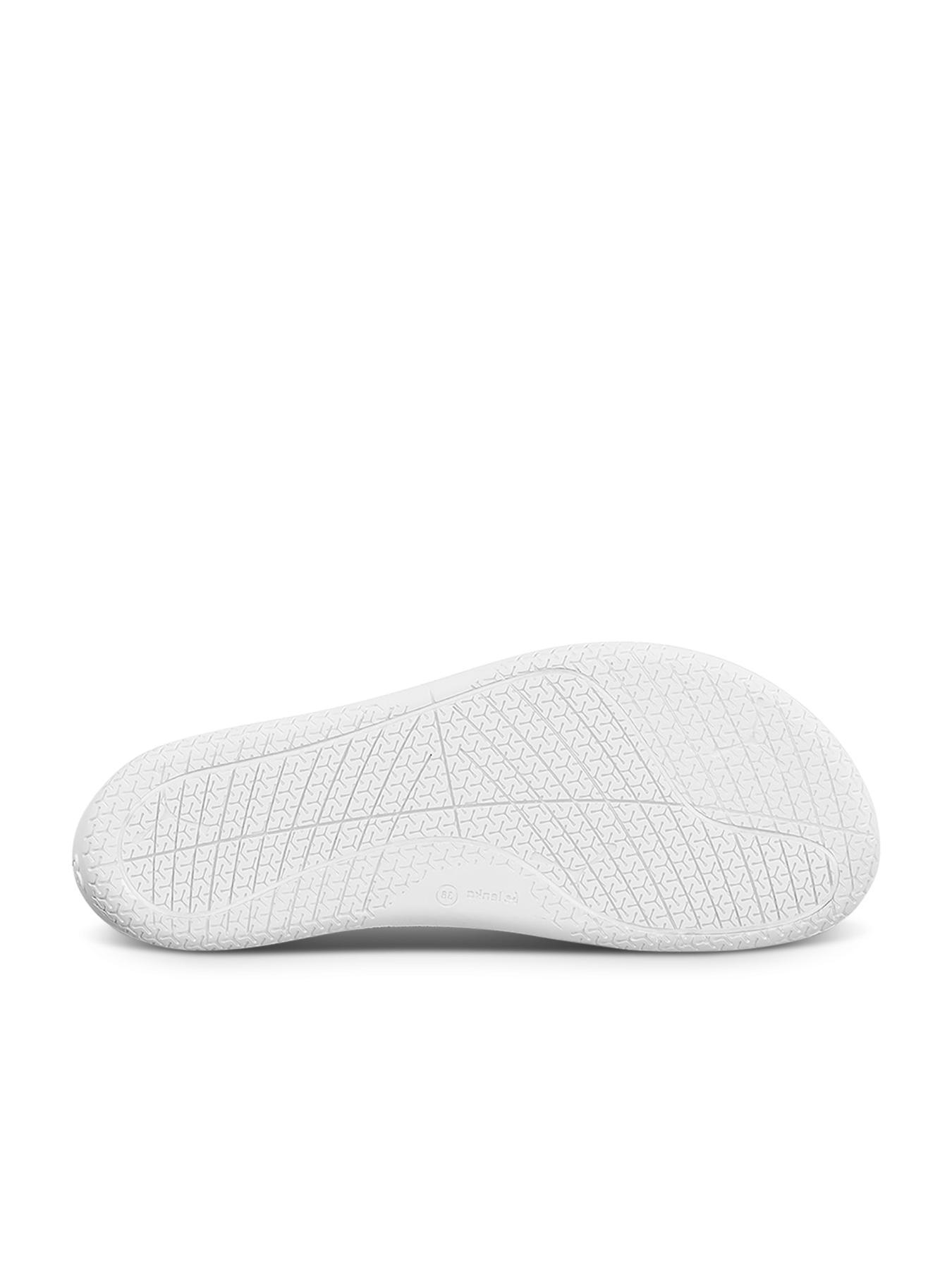 Velocity white