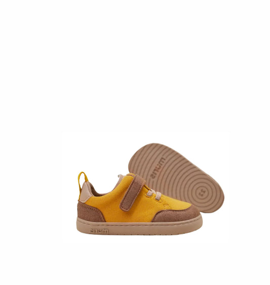 Lyon yellow & Brown (20-27)