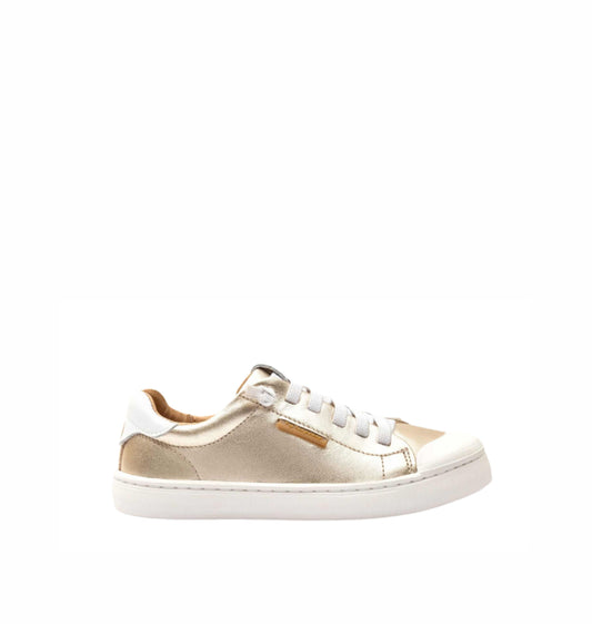 Volt Champagne (34)