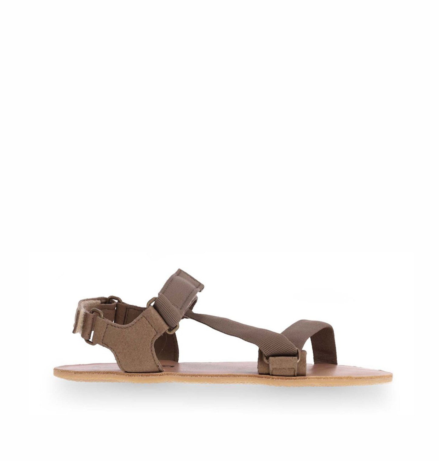 Flexi Maslinasta (42,43)