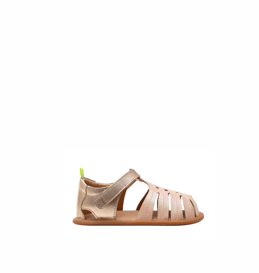 Tropically Candy (20-25)
