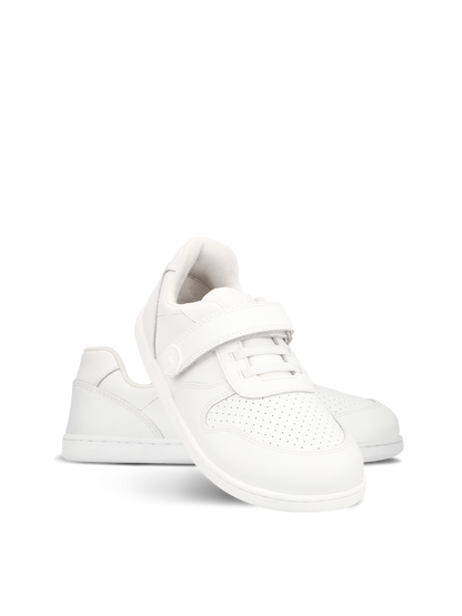 Scoot Bele (26-35)