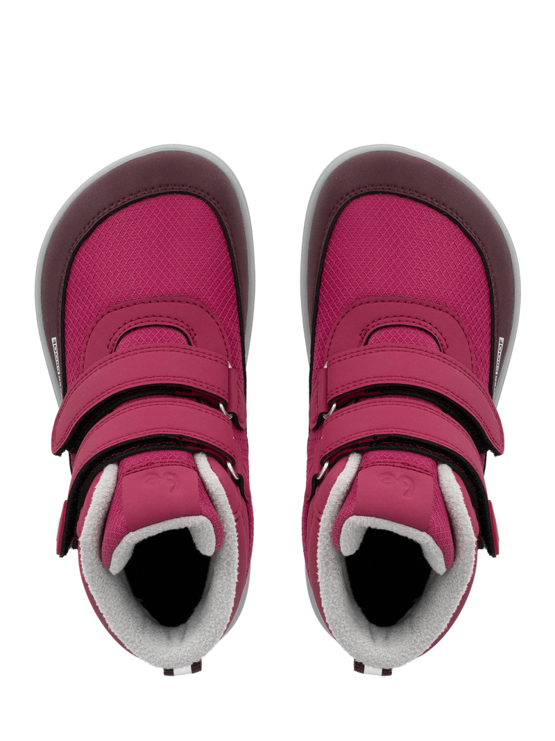 Par barefoot cizama Zippu Berry & Grey prikaz odozgo na beloj pozadini