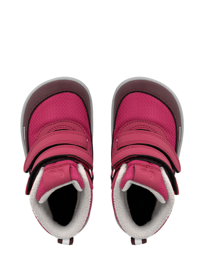 Par barefoot cizama Zippu Berry & Grey prikaz odozgo na beloj pozadini