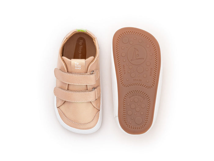 Bossy Candy Dream (21-25)