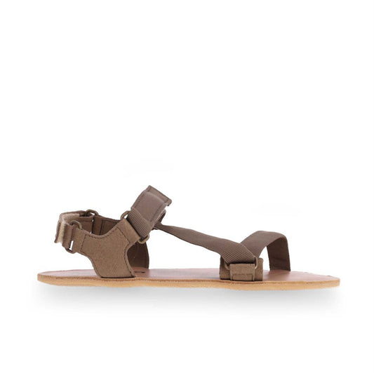 Flexi Maslinasta (39,42,43)