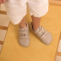 Terre Taupe (20-27)