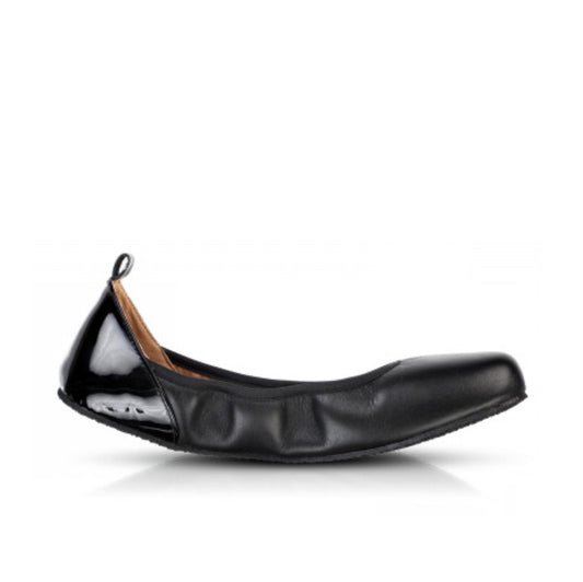 Tulip black