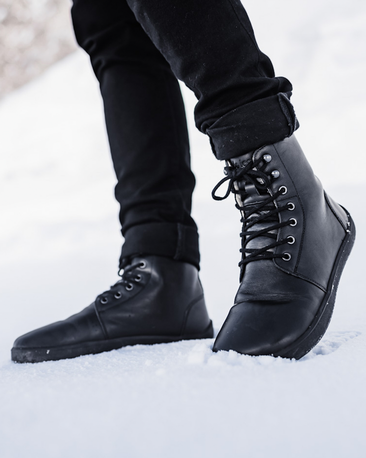 Winter Crne 3.0